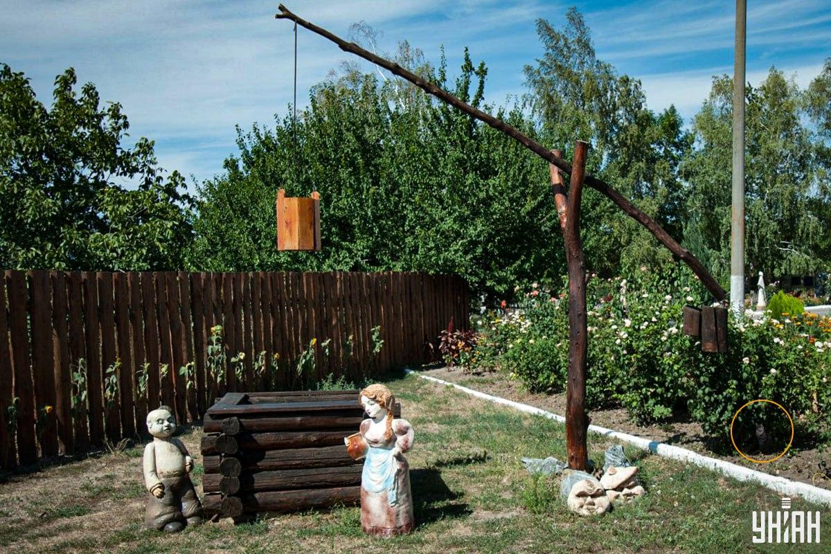 Katten var i blomsterrabatten / Moje collage