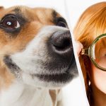 Endast en riktig IQ-titan kan se en hund i snön